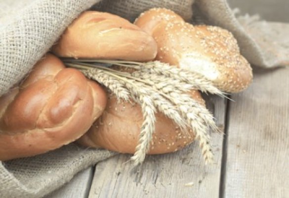 Cotaţia grâului a crescut cu 5% în ultima lună